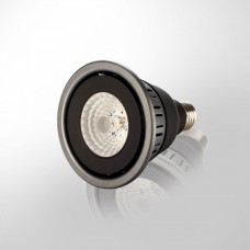 LED PAR Lamps (PAR30) - 13 Watt